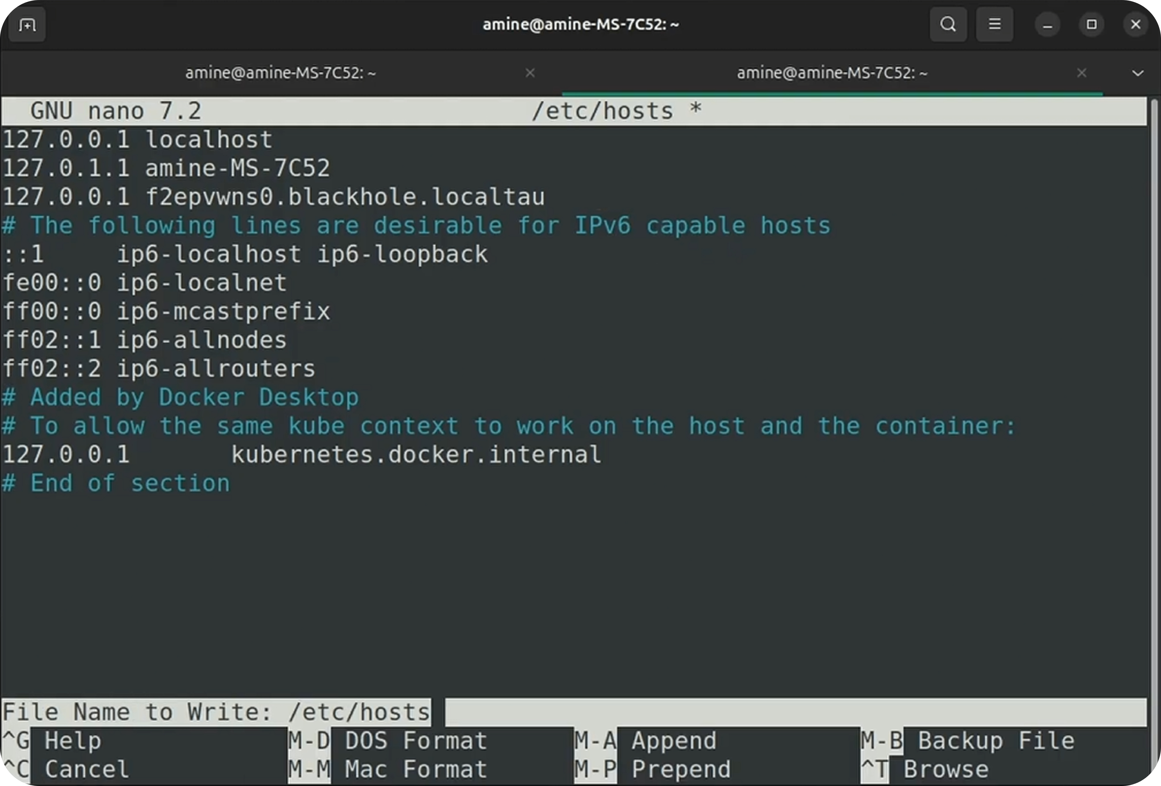 Editing /etc/hosts file