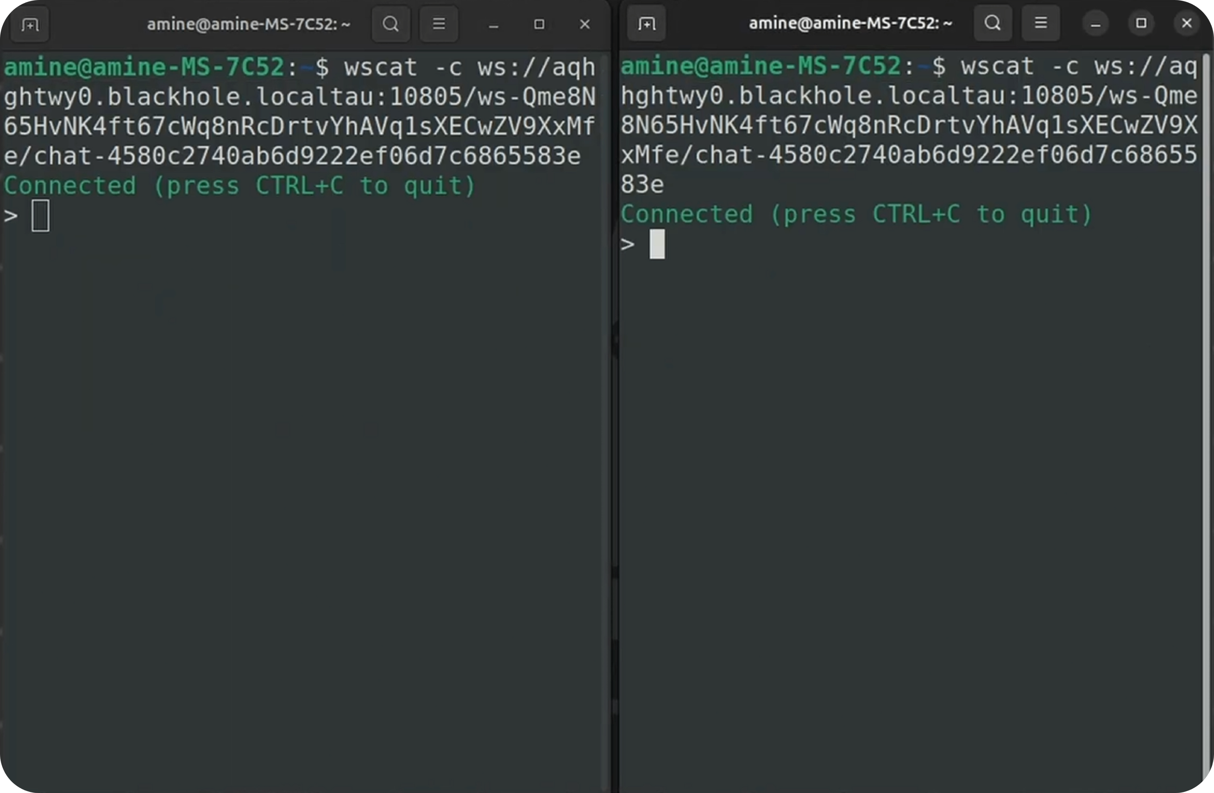 Two terminals with wscat for pub/sub testing